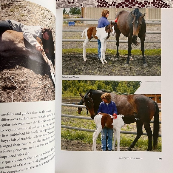 One with the Herd: A Spiritual Journey Book signed by Liz Mitten Ryan. Horses - Picture 11 of 13